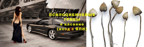 jwh Абаза