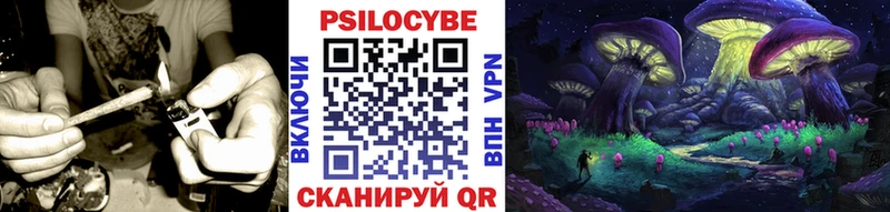 OMG   как найти   Алексин  Псилоцибиновые грибы Magic Shrooms 