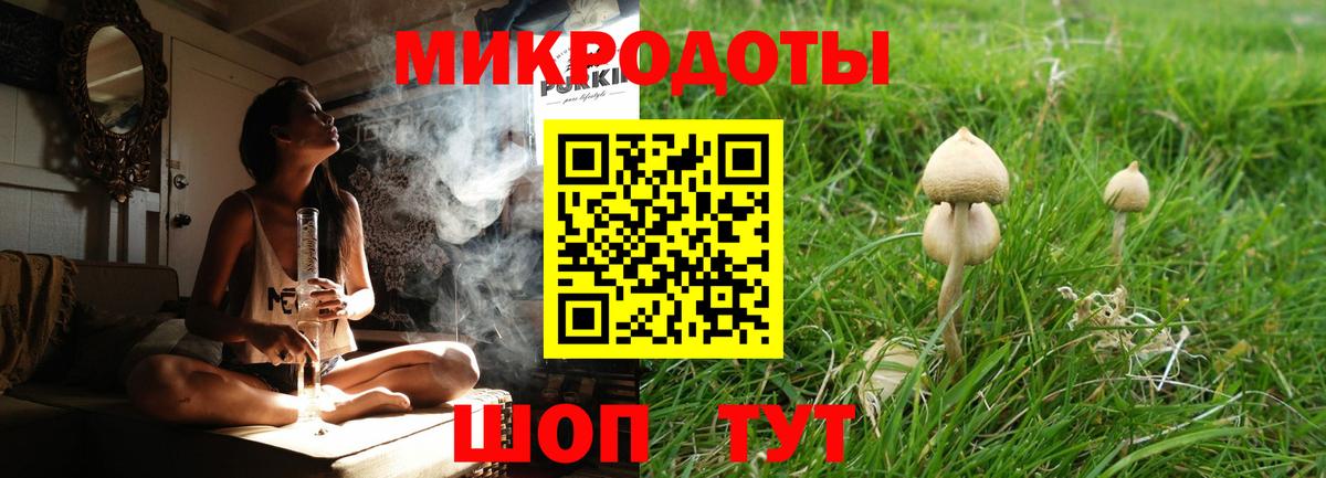 Алексин  Псилоцибиновые грибы GOLDEN TEACHER  Вход с VPN 