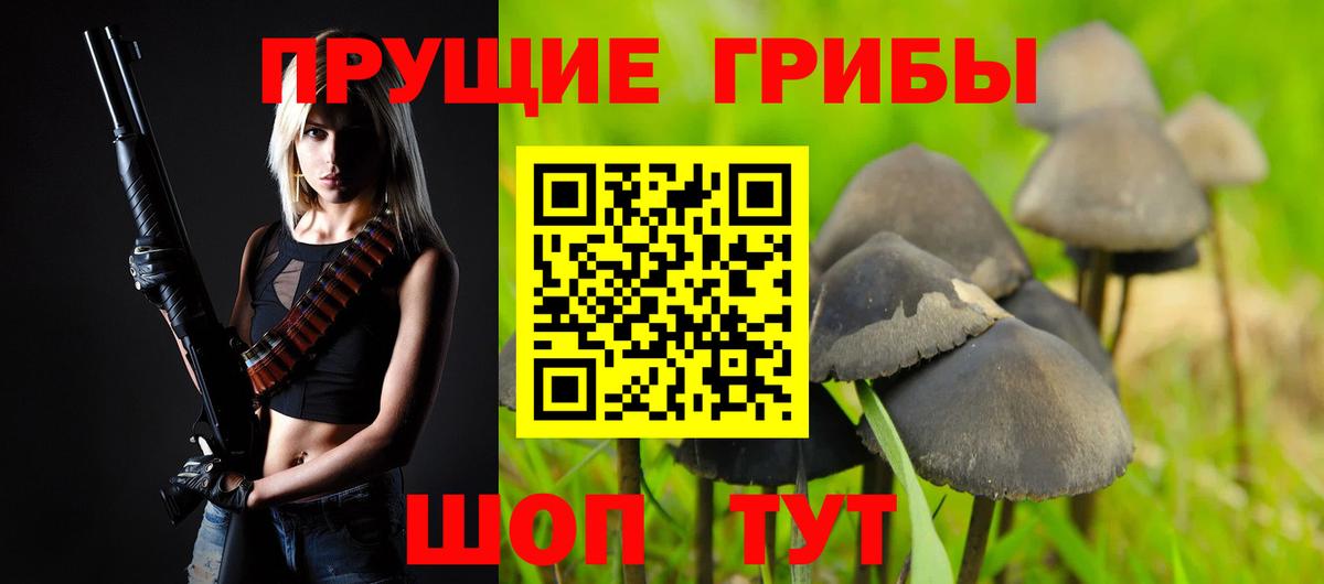 Псилоцибиновые грибы мицелий Алексин